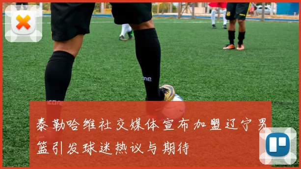 泰勒哈维社交媒体宣布加盟辽宁男篮引发球迷热议与期待