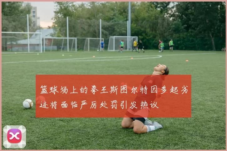 篮球场上的拳王斯图尔特因多起劣迹将面临严厉处罚引发热议